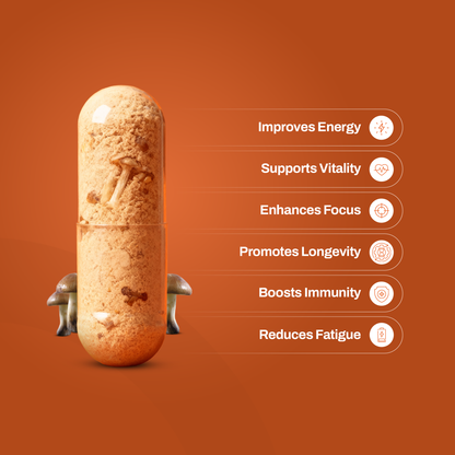 Mushroom 10x Capsule
